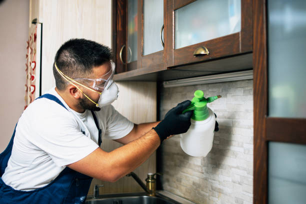 Best Commercial Pest Control Services  in Speer, NC