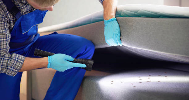 Best Pest Control for Businesses  in Speer, NC