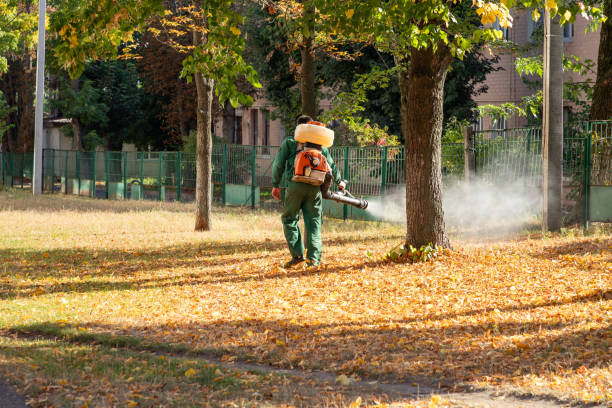Best Best Pest Control Companies  in Speer, NC