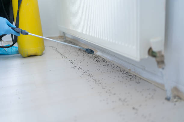 Best Exterminator Services  in Speer, NC