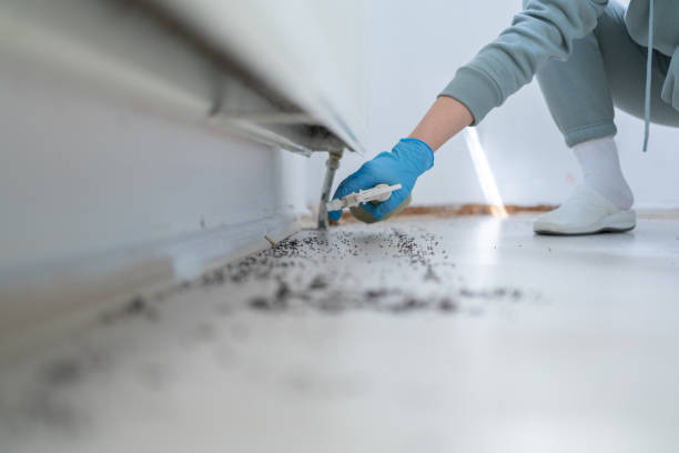 Best Pest Prevention Services  in Speer, NC