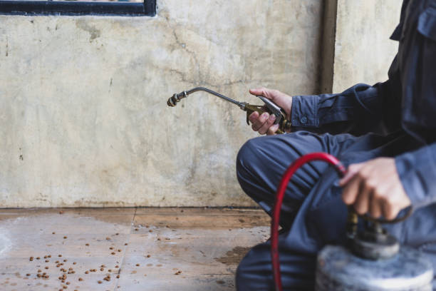 Best Affordable Pest Control Services  in Speer, NC