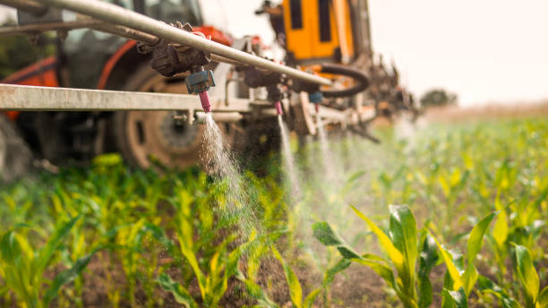 Best Mosquito Control Services  in Speer, NC