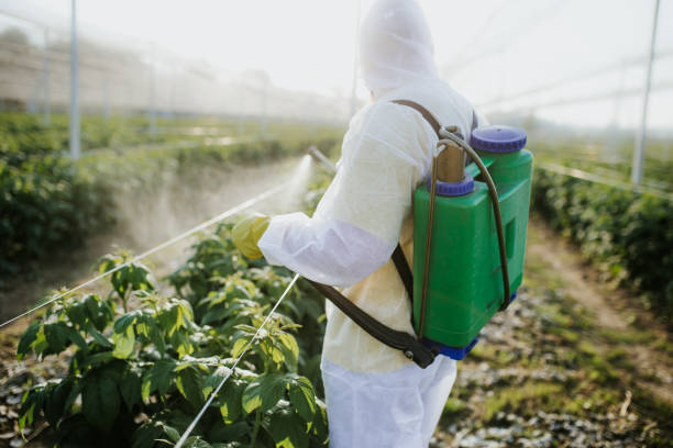 Best Commercial Pest Control Services  in Speer, NC
